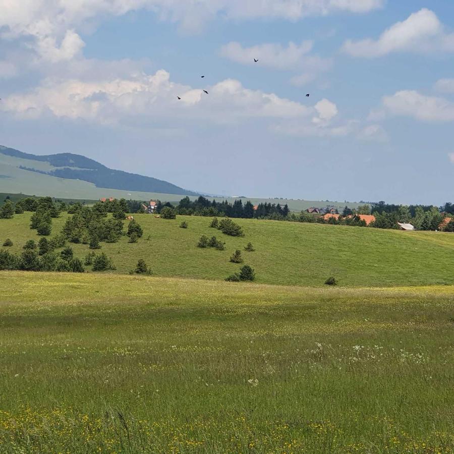 Planinska Kuca Sa Dvoristem Villa Zlatibor Exterior photo